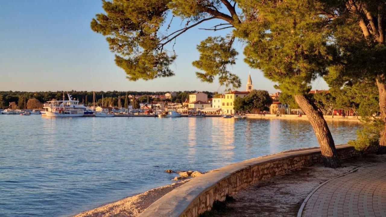 Villa Stella Svetvinčenat Exteriör bild